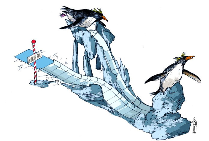 Boceto de diseño: pingüinos y tobogán de hielo